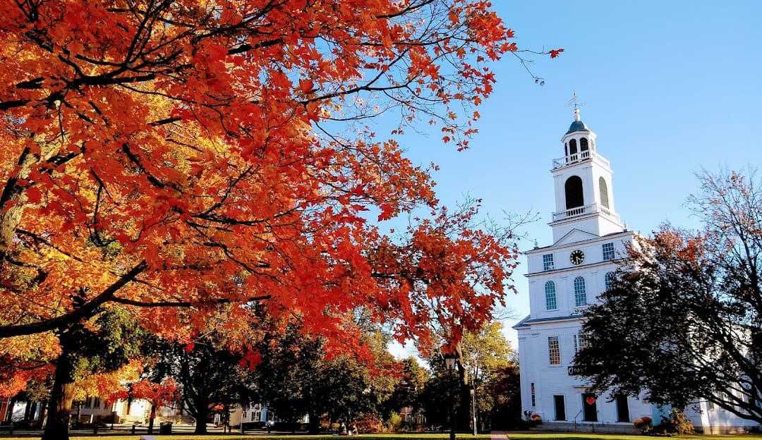 Bedford Movers Bedford Movers